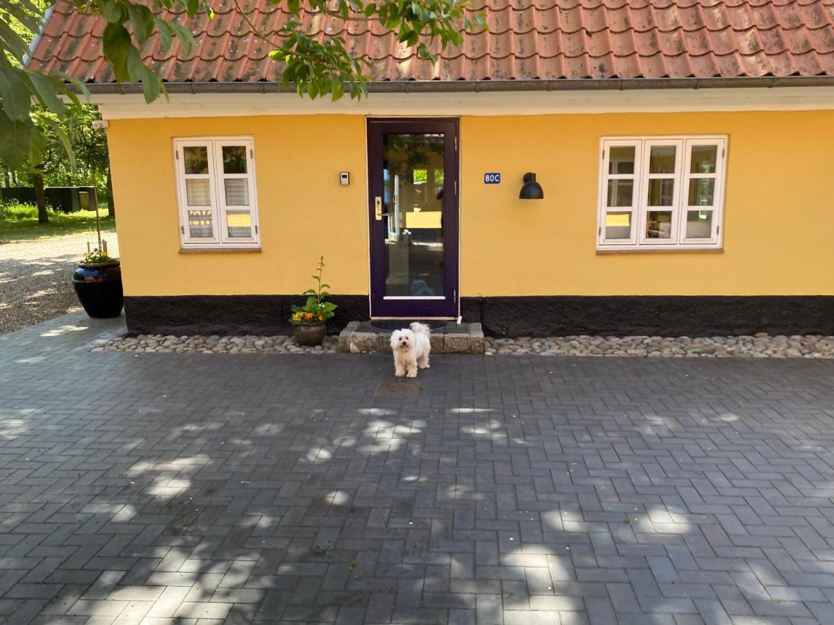 Lake View Apartment Гриндстед Екстериор снимка